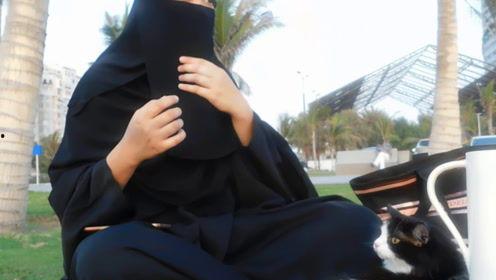 娱乐吃瓜君白鹿,娱乐吃瓜君的甜蜜蜕变之旅